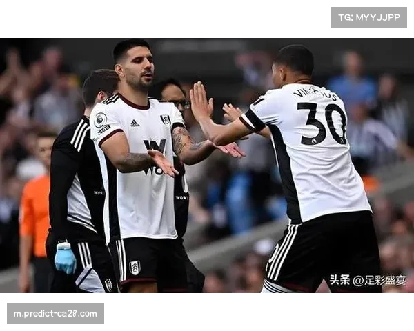 热刺遭遇毁灭性伤病潮 八人缺阵致攻防体系全面瘫痪